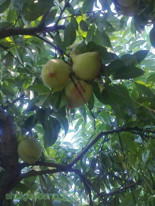 ��Ƭ0263.jpg
