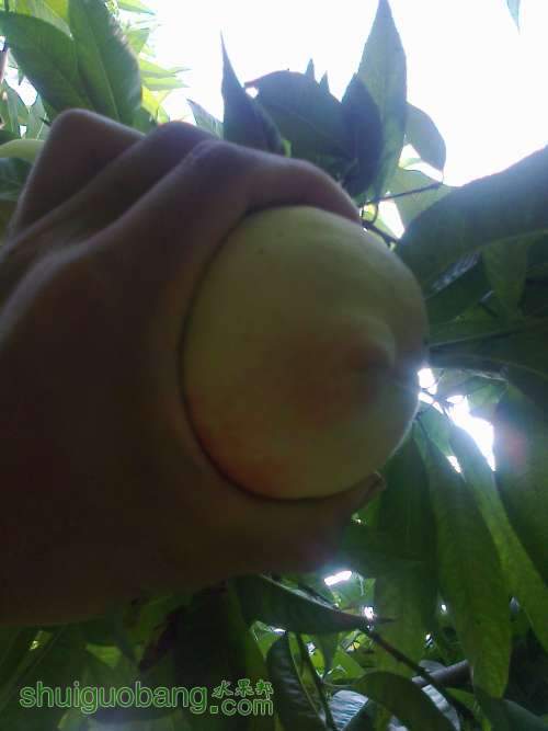 ��Ƭ0264.jpg