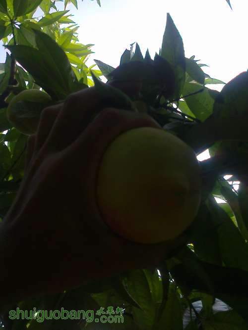 ��Ƭ0265.jpg