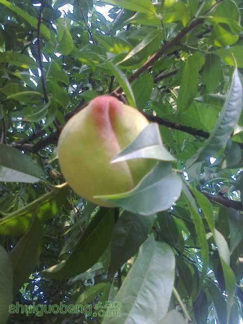 ��Ƭ0270.jpg