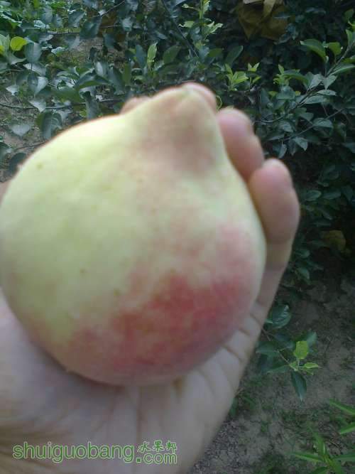 ��Ƭ0274.jpg
