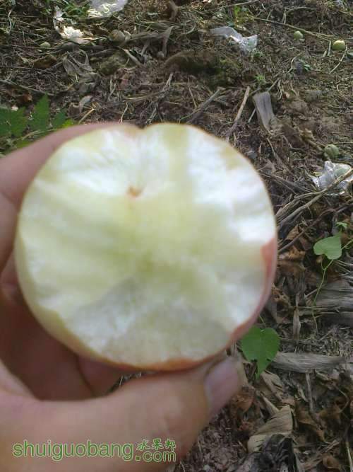 ��Ƭ0275.jpg