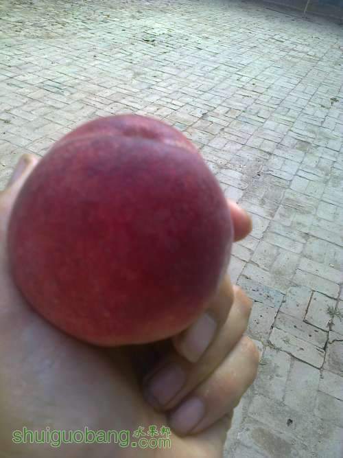 ��Ƭ0277.jpg