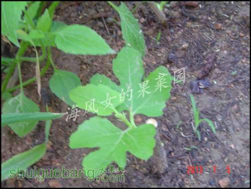 dsc00851.jpg