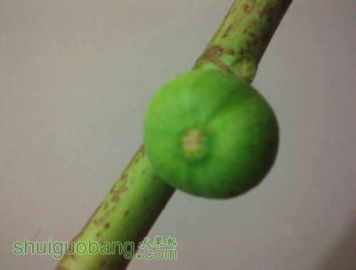 QQ��ͼ20130705210157.jpg