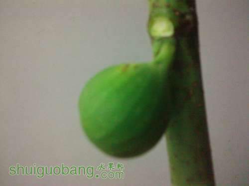 QQ��ͼ20130705210058.jpg
