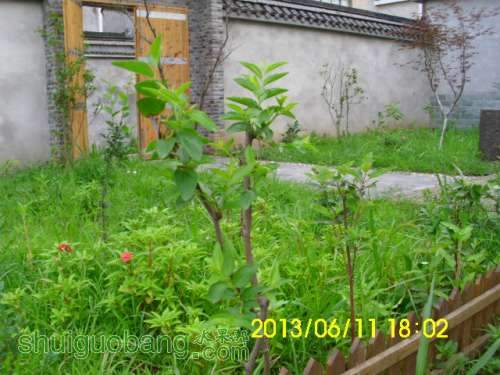 IMG_1463.JPG