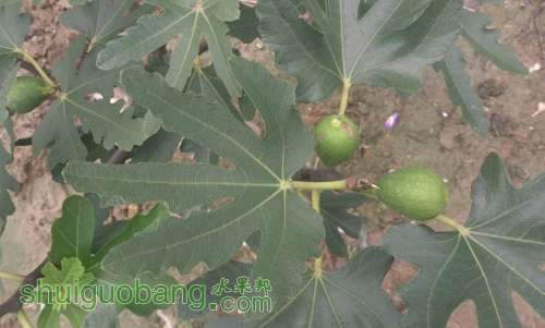 QQͼƬ20130707134248.jpg