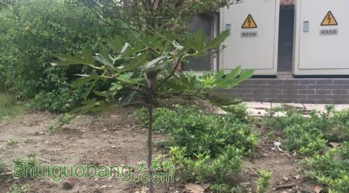 QQͼƬ20130707134203.jpg