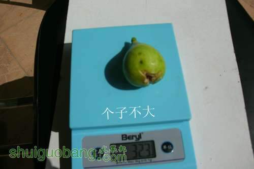 GEDC0130_����.jpg