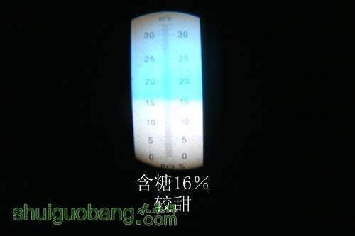 GEDC0132_����.jpg