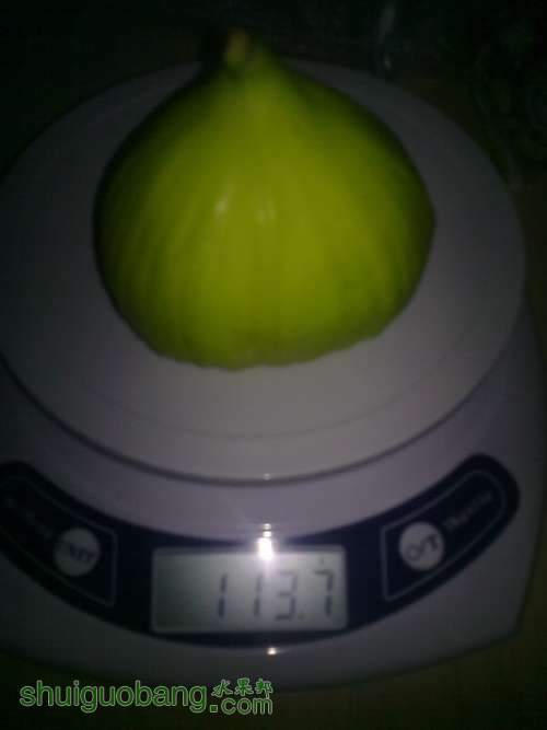 2013.6.26 004.jpg