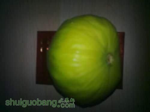 2013.6.26 006.jpg