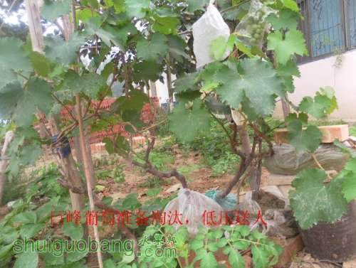 QQͼƬ20130704095510.jpg