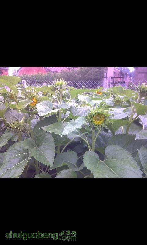 QQͼƬ20130709122320.jpg