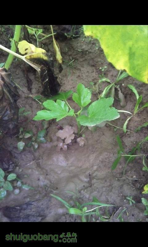 QQͼƬ20130709122342.jpg