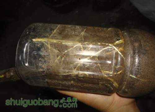 QQͼƬ20130710180807.jpg