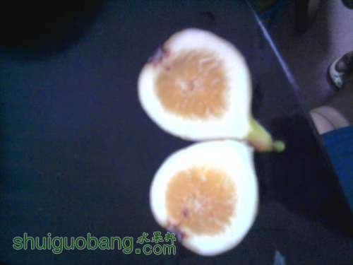 �ֻ��Ĳ��Ǻ����