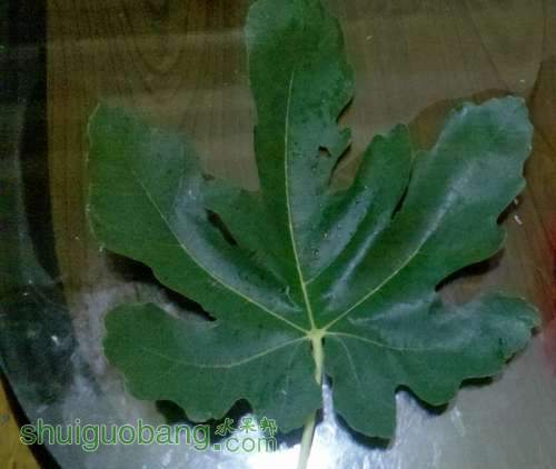 2013-07-11_21-38-41_825.jpg