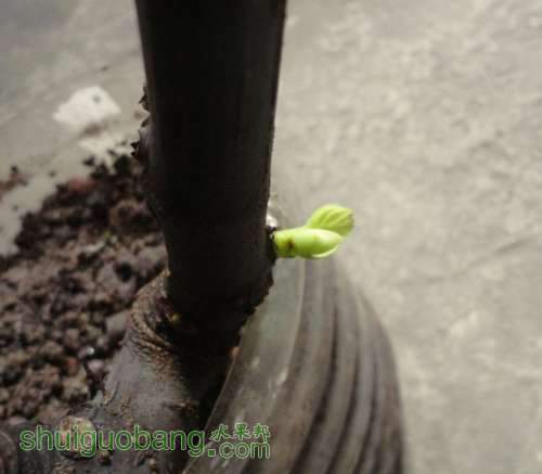 QQͼƬ20130712064917.jpg