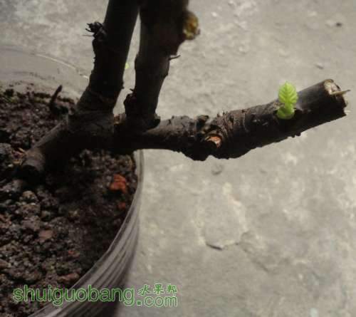 QQͼƬ20130712064941.jpg