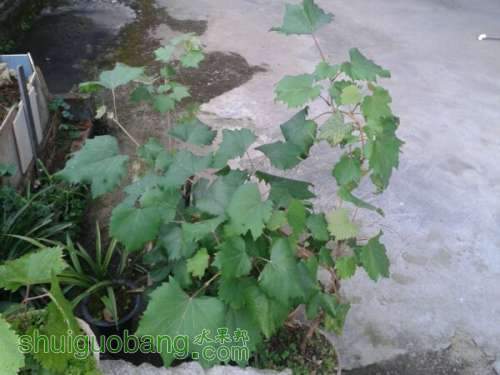 2013.7.11.jpg
