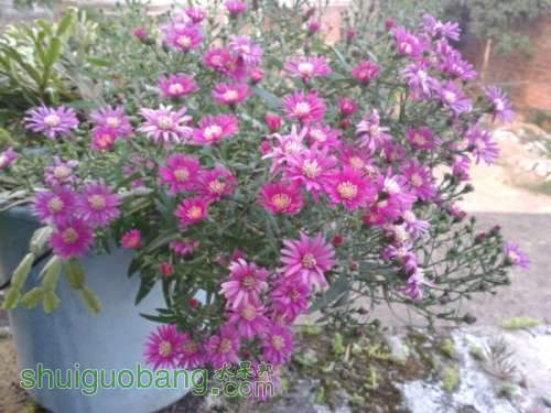 Ƭ 005.jpg
