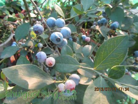 IMG_8638.JPG