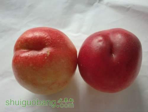 QQͼƬ20130713213718.jpg