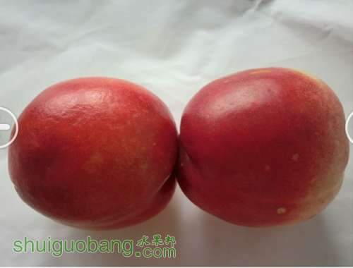 QQͼƬ20130713213737.jpg