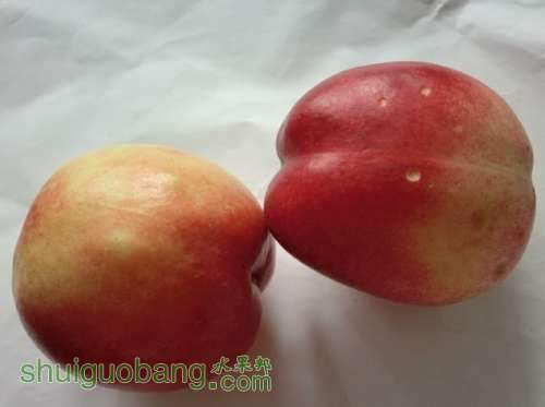 QQͼƬ20130713213750.jpg