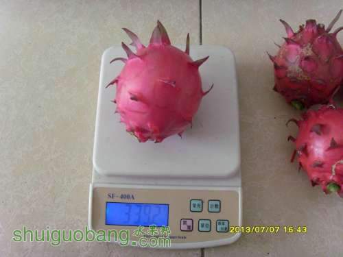 С SI855551.JPG