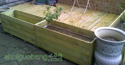 20120718110.jpg