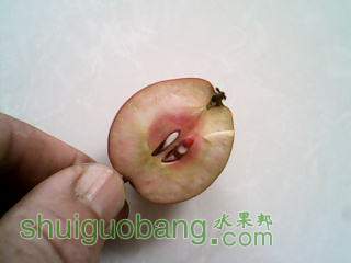 IMG_0076.JPG