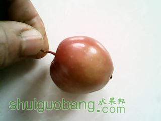 IMG_0075.JPG