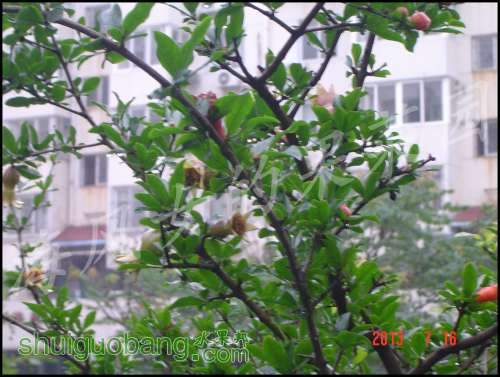 dsc00902.jpg