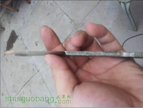 ּ޽ӵ