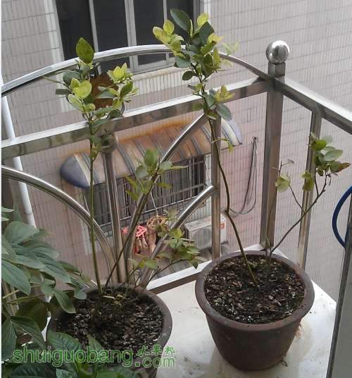 QQͼƬ20130716174538.jpg