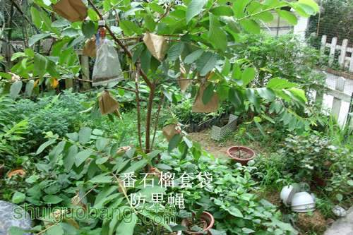 GEDC0133_����.jpg