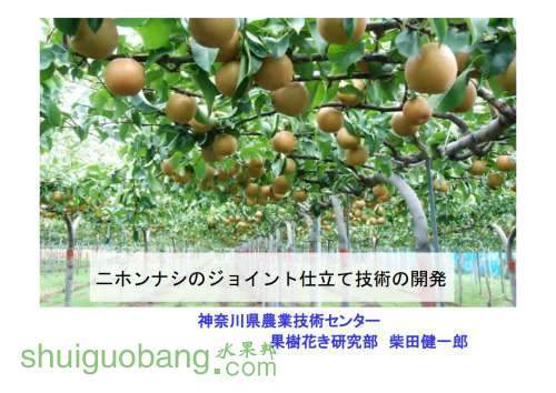 �������������