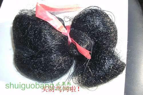 GEDC0037_.jpg