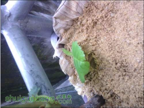 4D%ENAQ{O4(C3RZT0`E8095.jpg