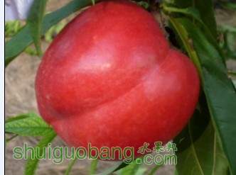QQͼƬ20130718195332.jpg