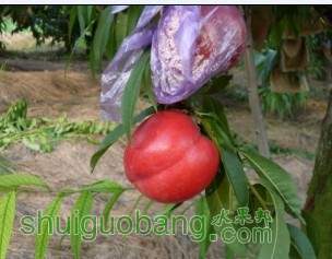 QQͼƬ20130718200328.jpg