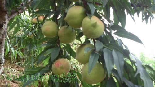 QQͼƬ20130719105329.jpg