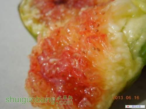 54_9_d8c9747ad3bb324.jpg