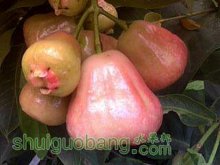 )4512O)I]MVY0D]`_14]`100.jpg