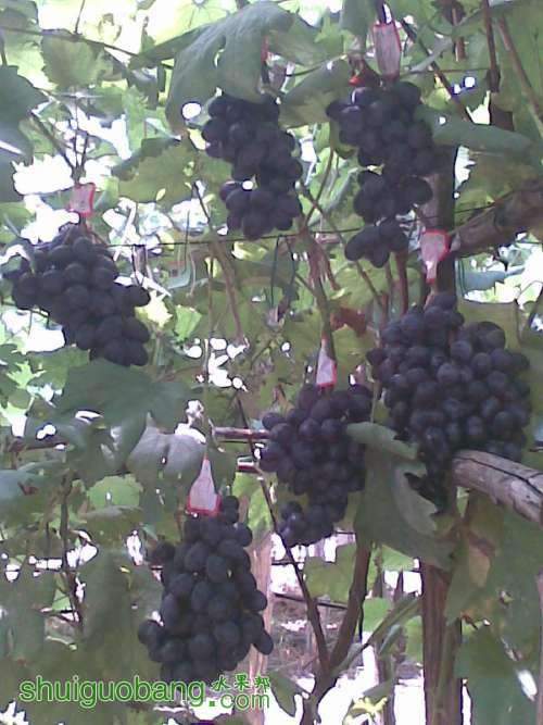 ڰ1.jpg