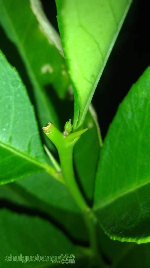 IMAG0329.jpg