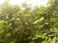 ů޻1.jpg